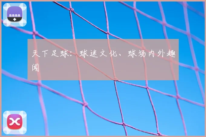天下足球:球迷文化、球场内外趣闻