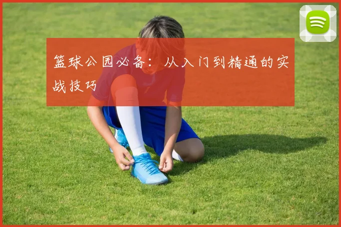 篮球公园必备:从入门到精通的实战技巧