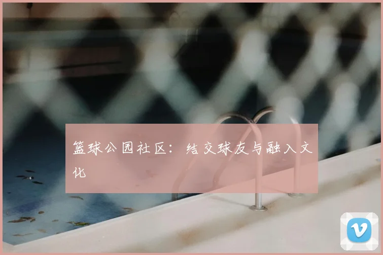 篮球公园社区:结交球友与融入文化